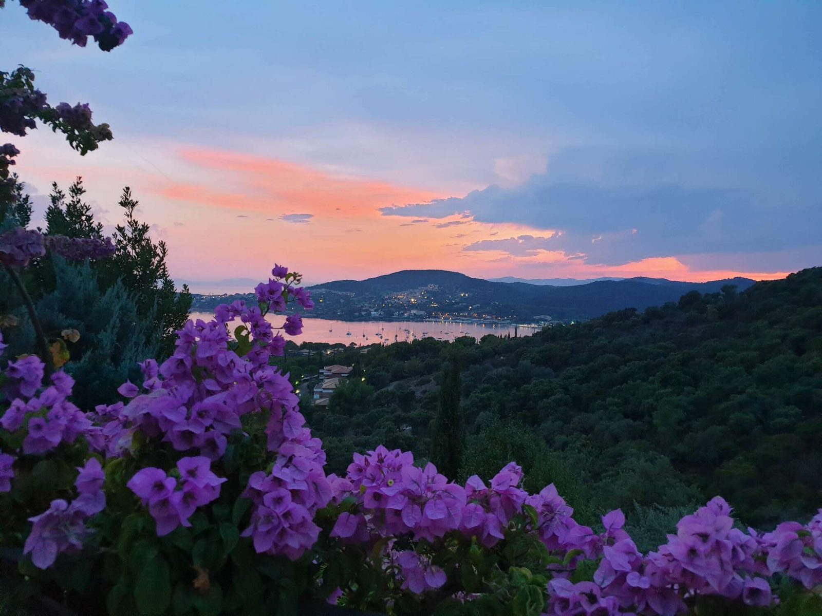 La baie d'Agay au coucher du soleil, bougainvillées au premier plan